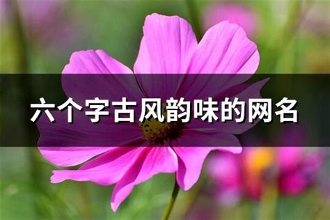 名字有6個字|六个字古风韵味的网名 (共940个)